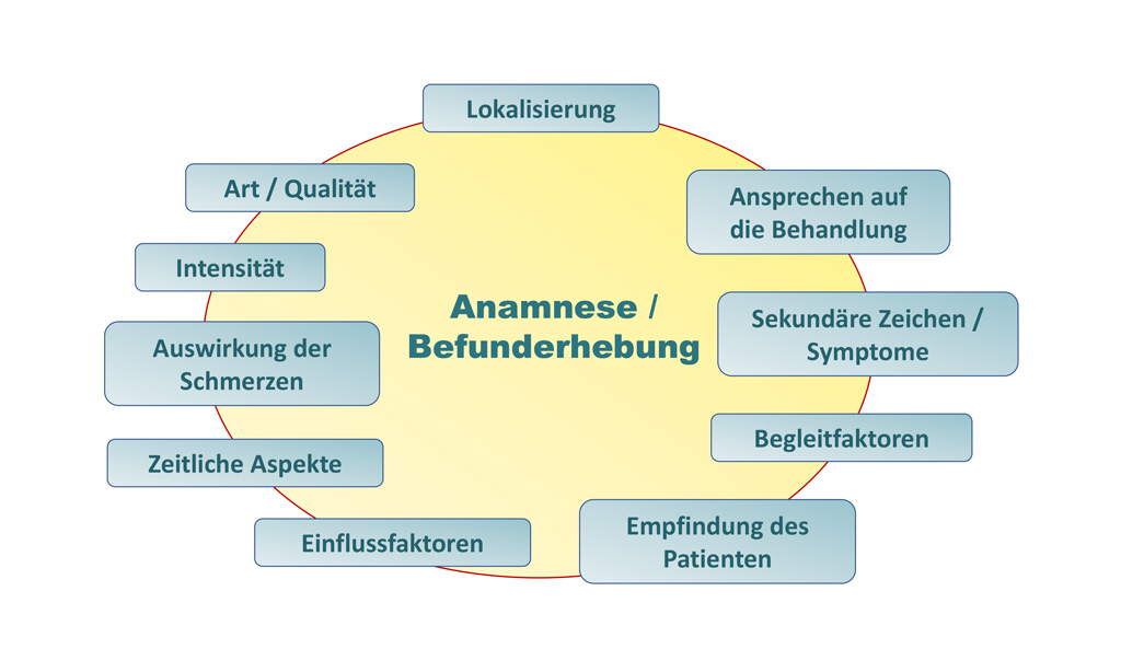 Anamnese Befunderhebung Infografik